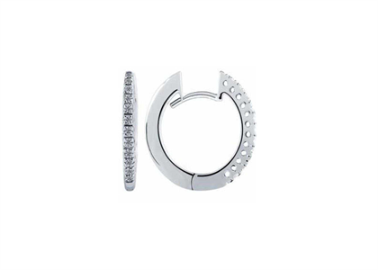 Rhodium Plated | Fashion Earrings